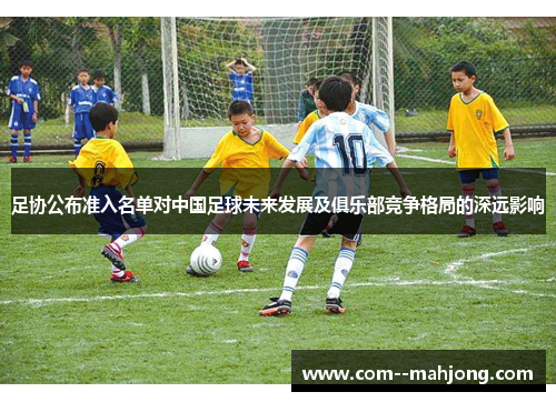 足协公布准入名单对中国足球未来发展及俱乐部竞争格局的深远影响