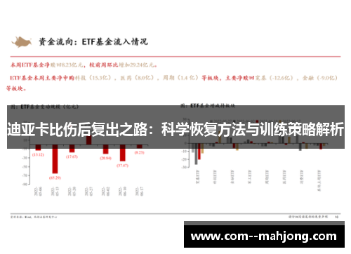 迪亚卡比伤后复出之路:科学恢复方法与训练策略解析 迪亚卡比伤后复出之路:科学恢复方法与训练策略解析