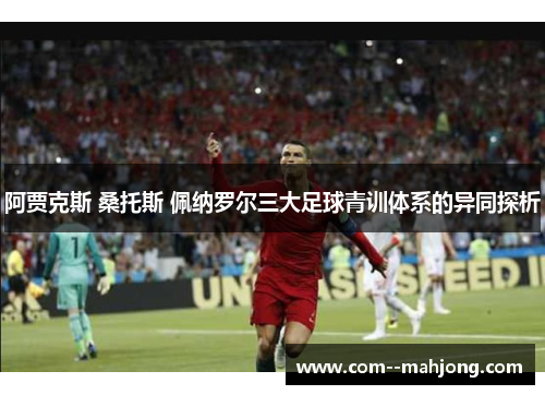 阿贾克斯 桑托斯 佩纳罗尔三大足球青训体系的异同探析 阿贾克斯 桑托斯 佩纳罗尔三大足球青训体系的异同探析