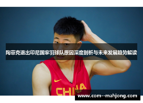 陶菲克退出印尼国家羽球队原因深度剖析与未来发展趋势解读